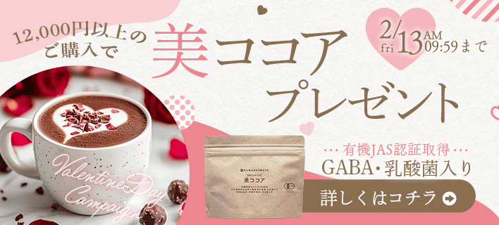 ���������ץ쥼���