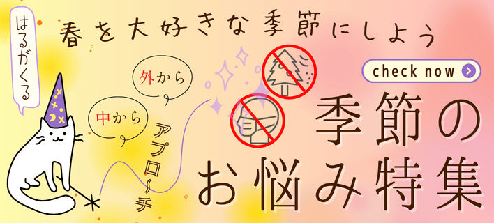 ��ʴ���ý�