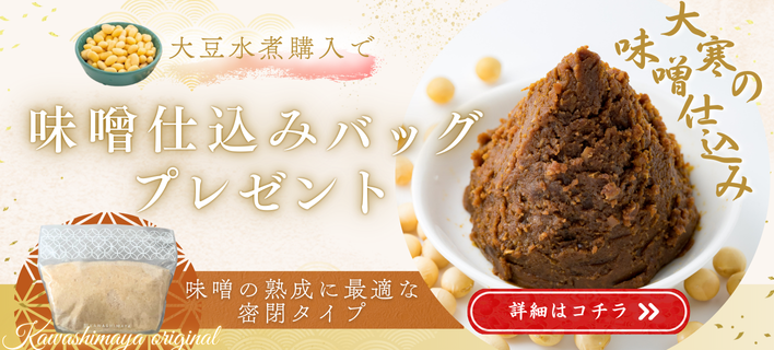 �Ĥ�����ޥץ쥼�����