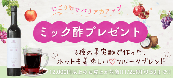 �̼¿ݥץ쥼���