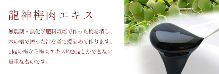 梅肉エキス600g-無農薬・無化学肥料 龍神梅100%使用