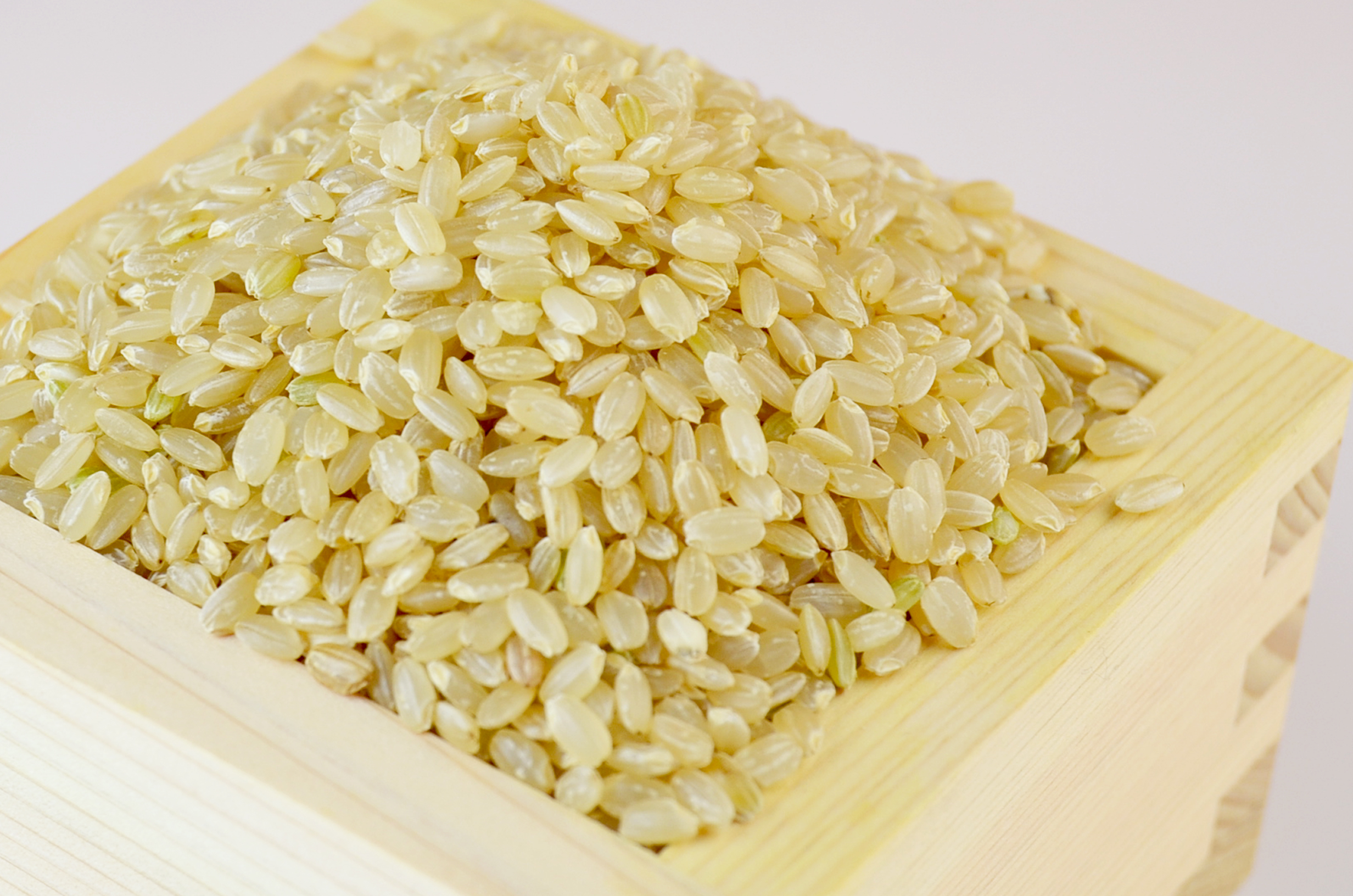 Asahi Brown Rice Preview