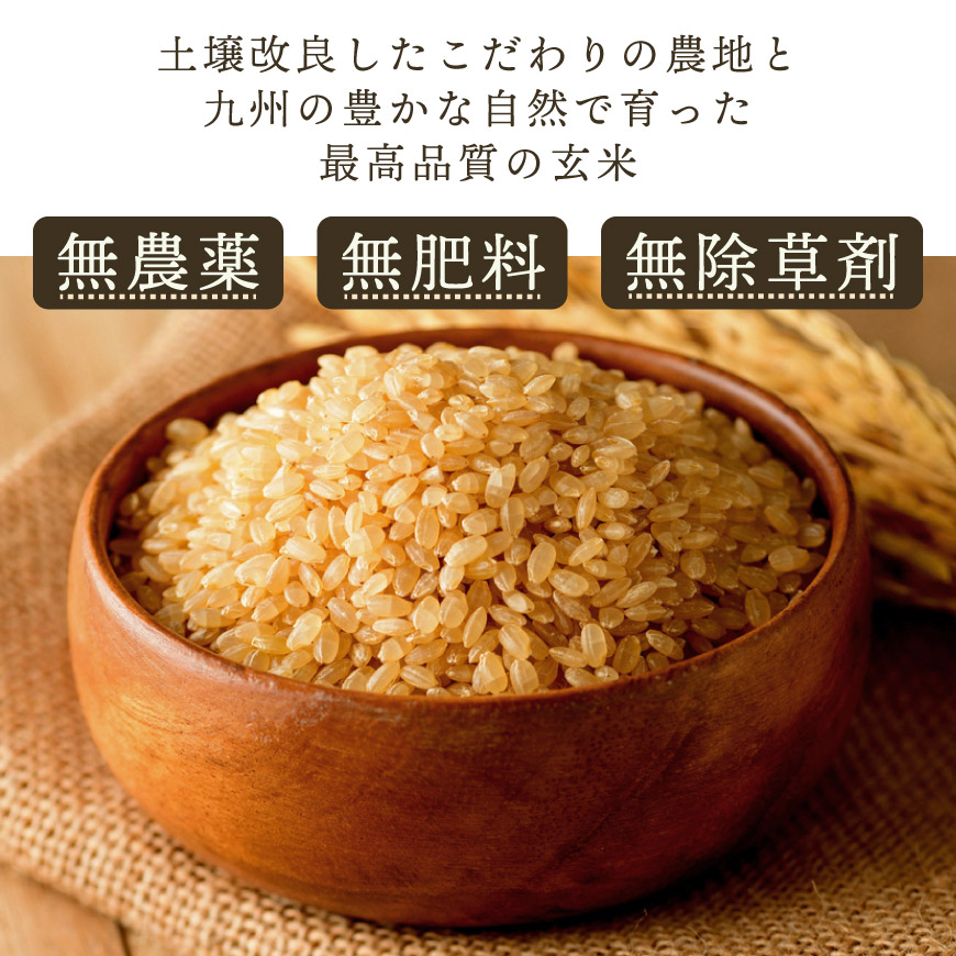 ヒノヒカリ玄米（おがた健康農園特製 無農薬・無肥料栽培）2.5kg
