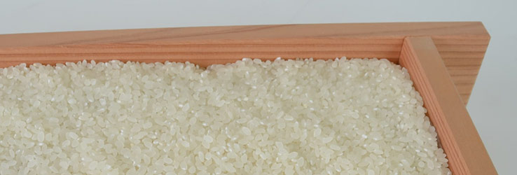 Up to 2.5kg of Rice Koji in Koji Tray