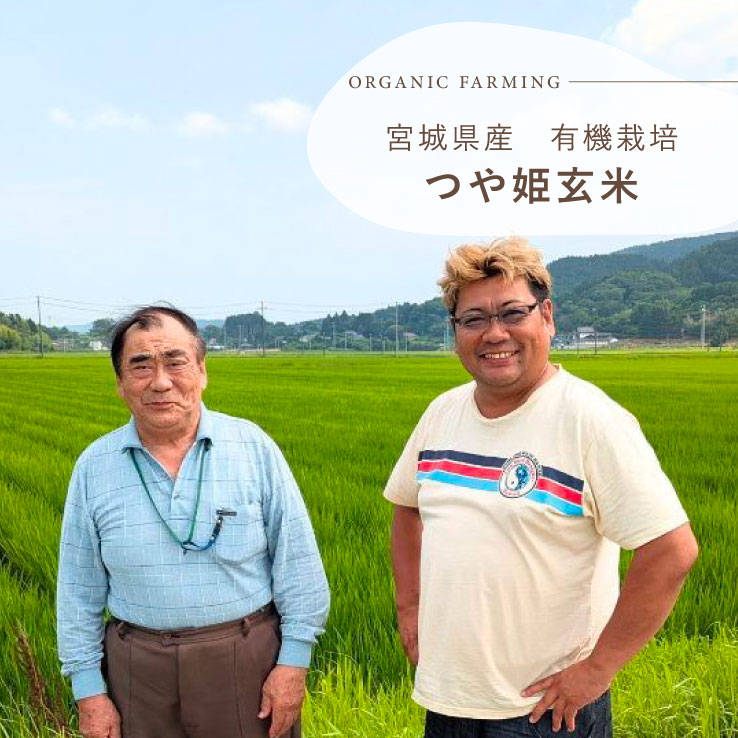 ���Ǹ��ƤΤ������θ���