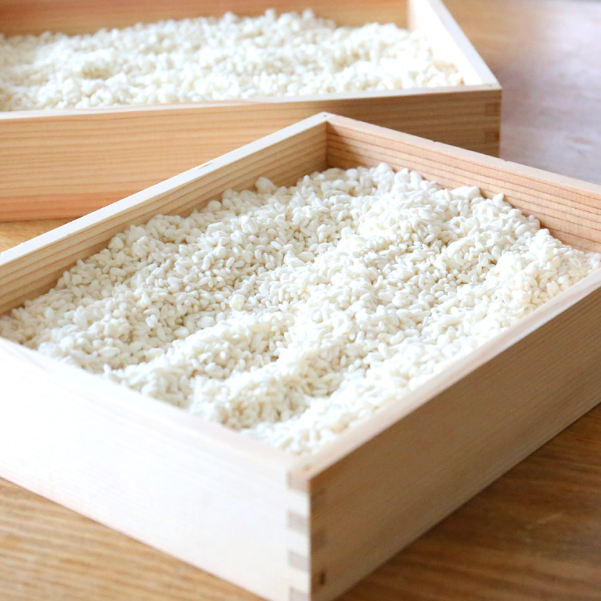 酵素の宝庫　米麹