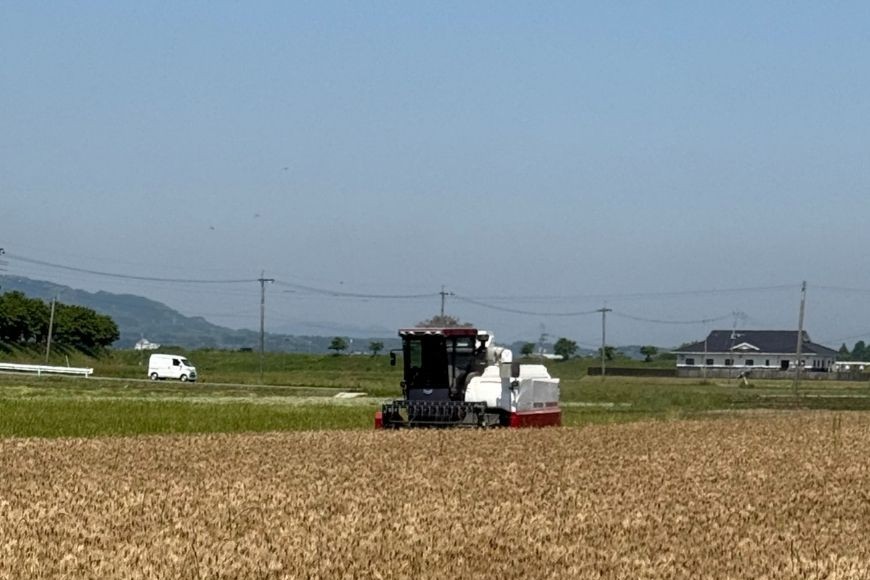 �������� ����