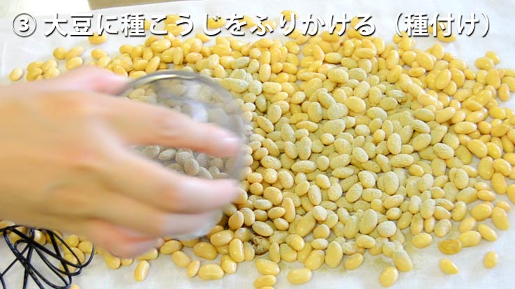 大豆に種麹をふりかける