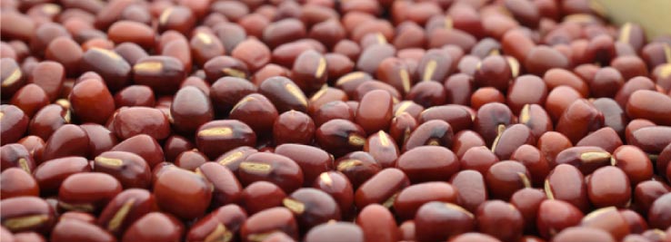 無農薬国産小豆