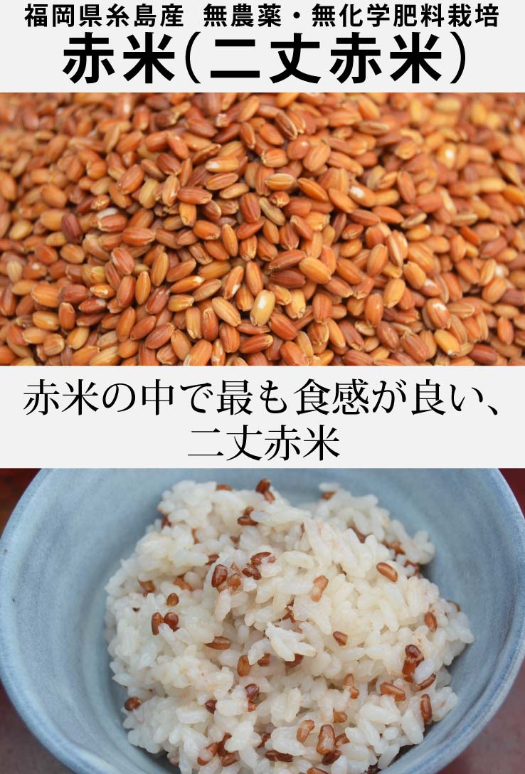 有機赤米