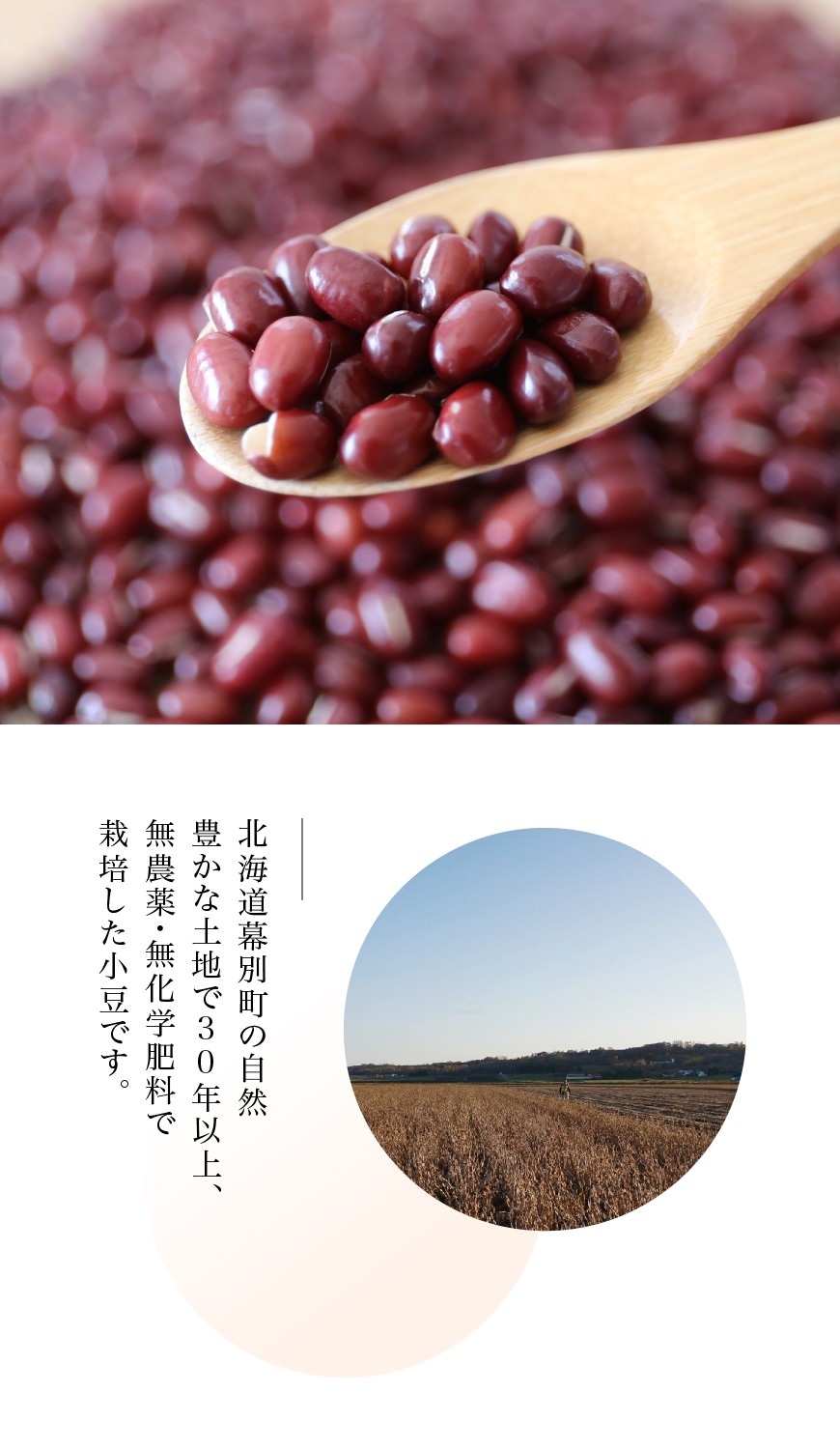 無農薬小豆「えりも小豆」30kg-北海道平譯農園-【送料無料】