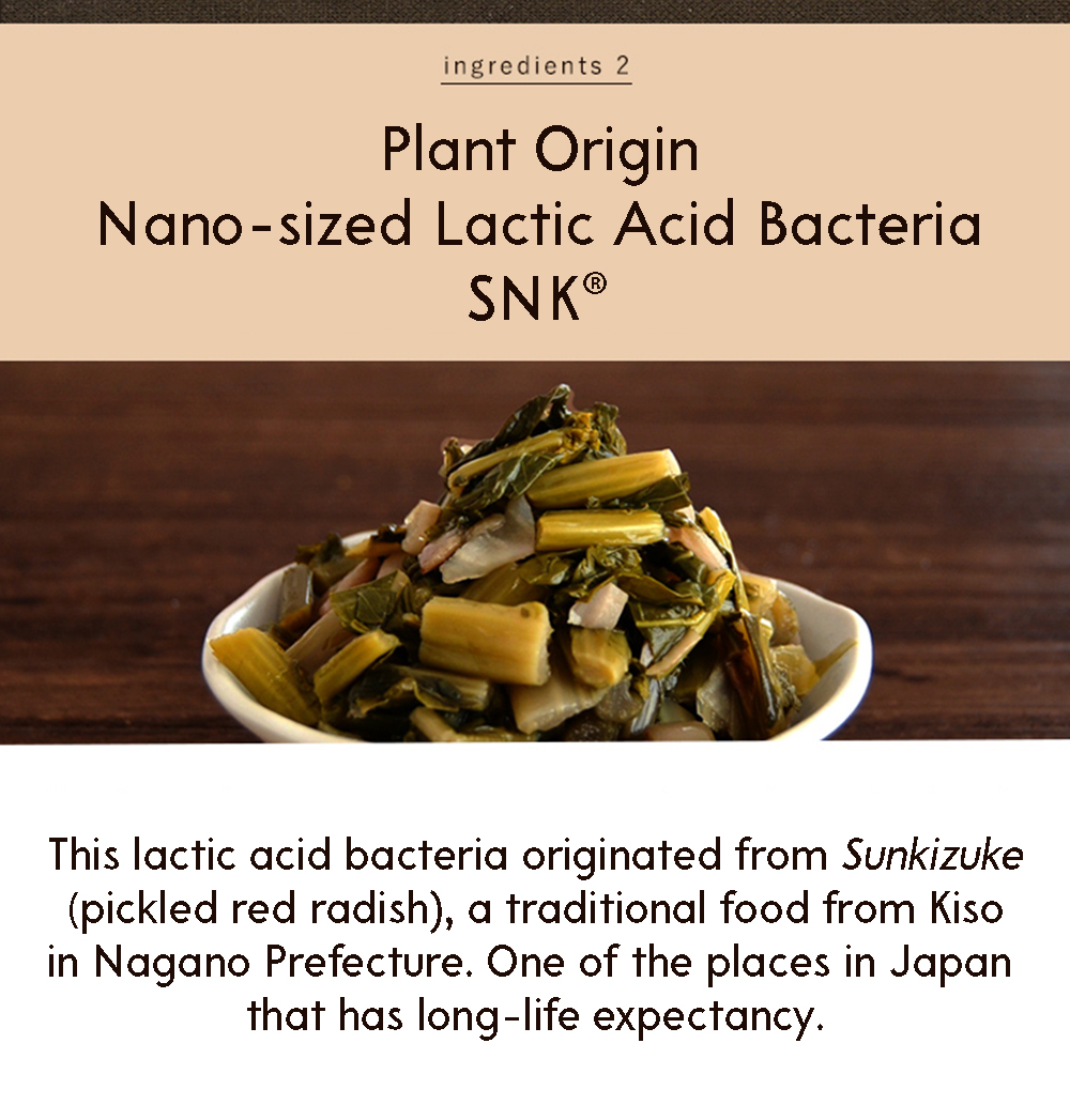 Kawashimaya lactic acid bacteria powder ingredients