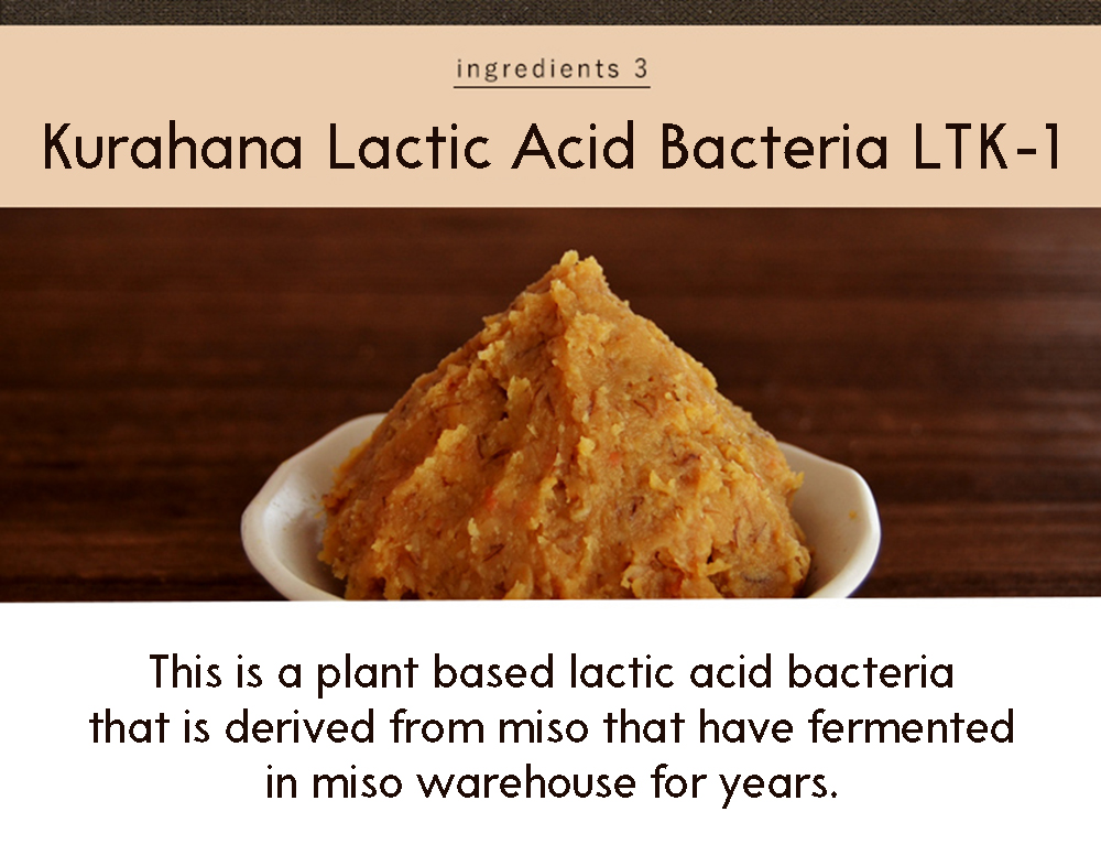 Kawashimaya lactic acid bacteria powder ingredients