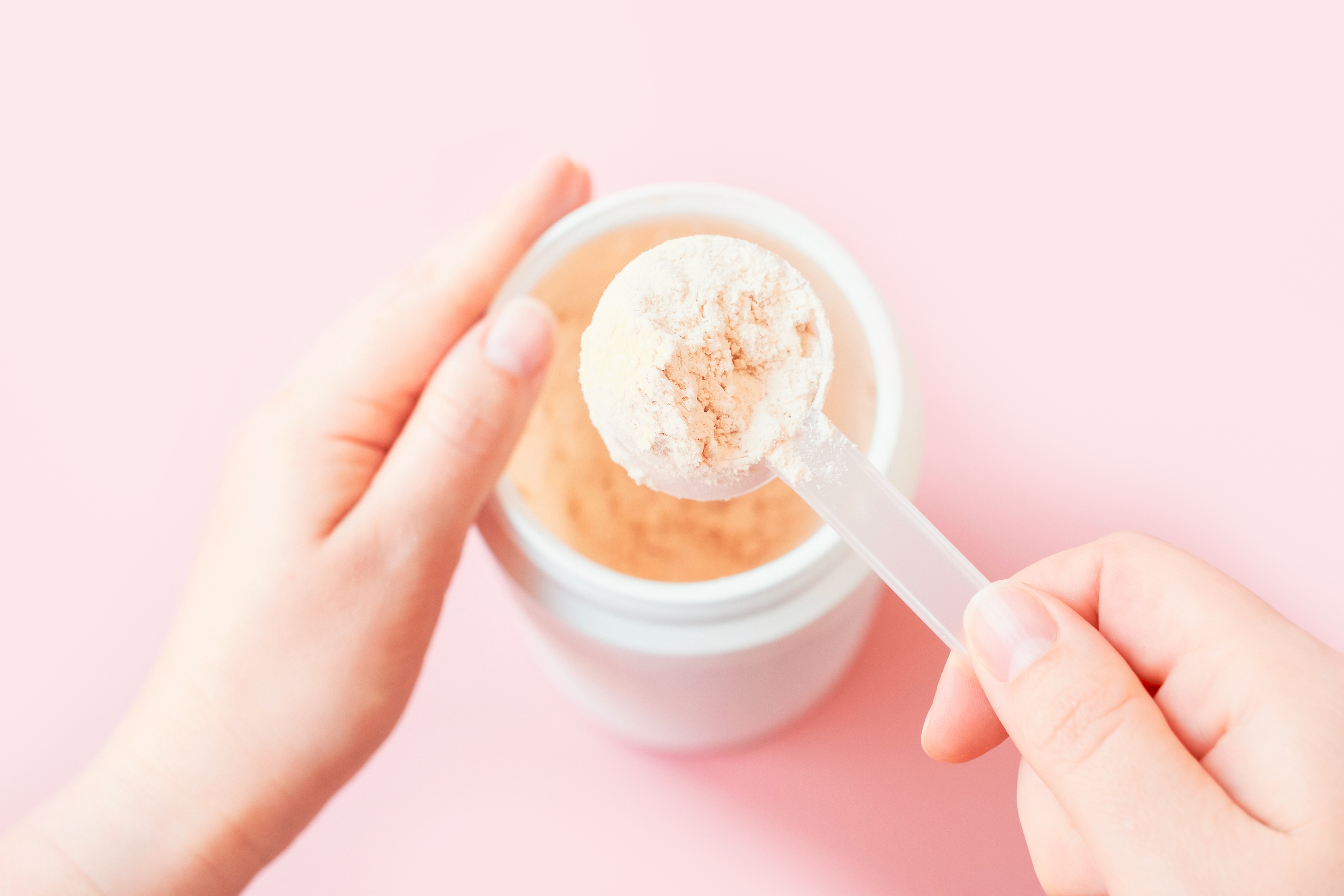 ����������ץ��ƥ���С�����