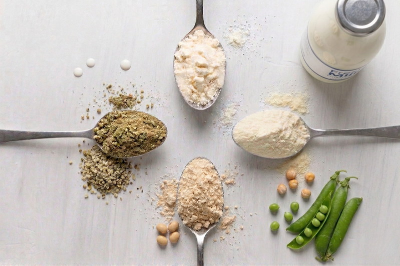 ����������ץ��ƥ���С�����