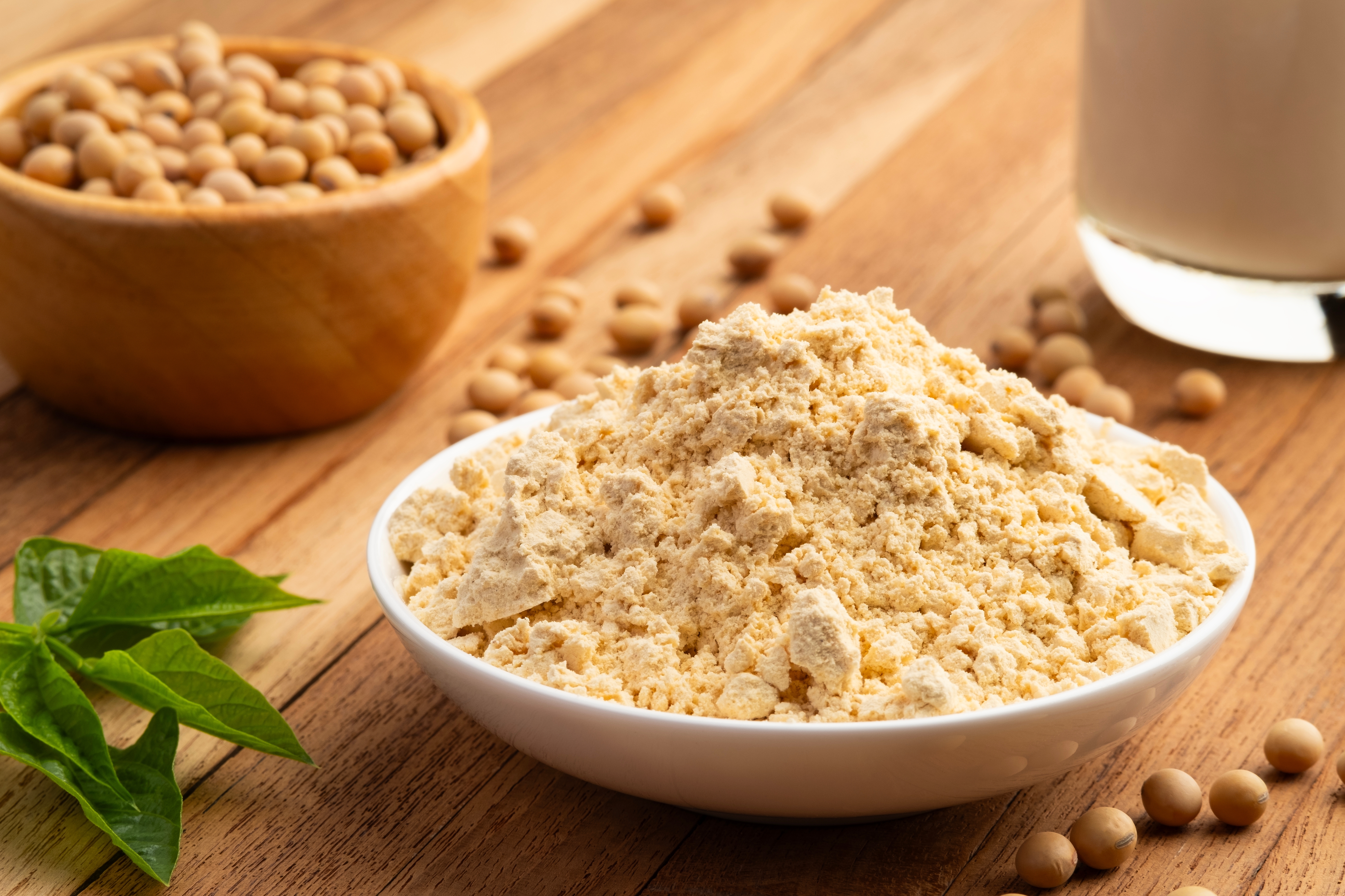 �������˥å�Ĳ��ץ��ƥ���Ϥ�������ˤ�������