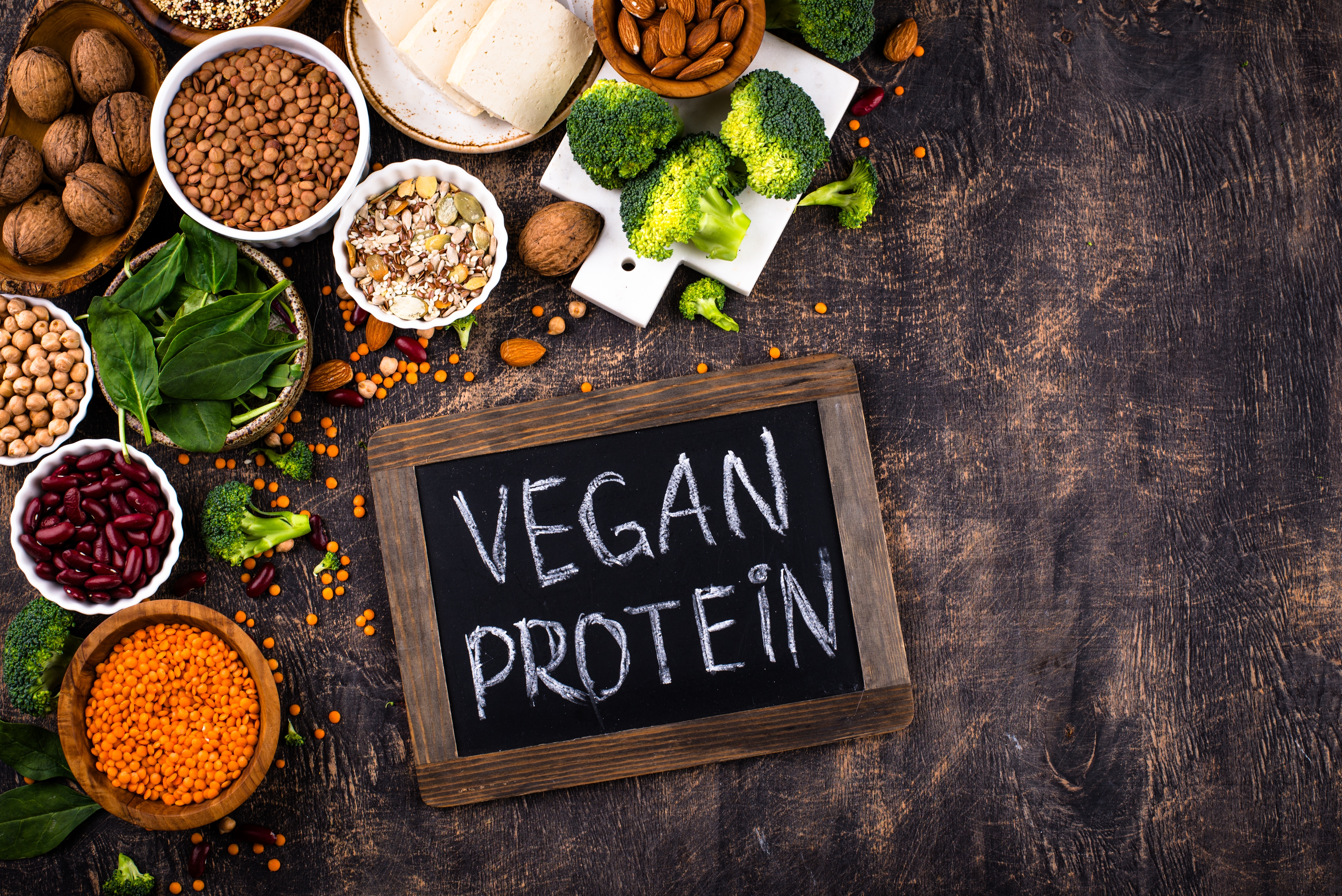 ����������ץ��ƥ���С�����