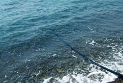 海水のくみ上げから海水の蒸発・濃縮まで