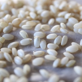 発芽玄米の作り方