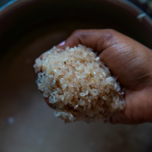 玄米乳酸菌のレシピ