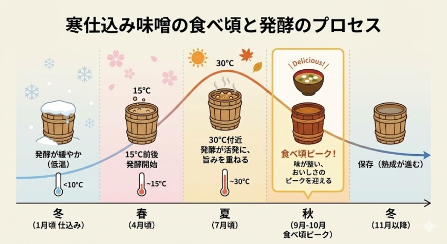 ���Ź��ߤ�̣���ο��ٺ�