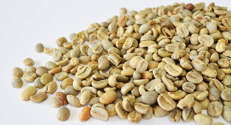 コーヒー生豆の選び方